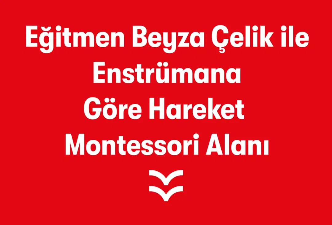 Eğitmen Beyza Çelik İle Enstrümana Göre Hareket  Montessori Alanı