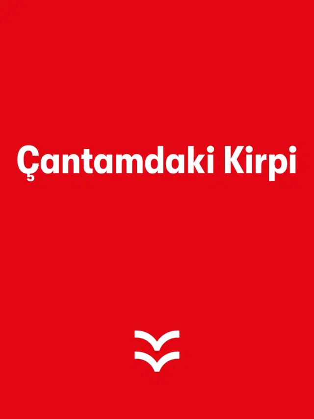 Çantamdaki Kirpi